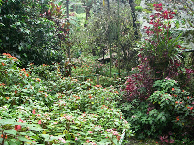Guatemala – The first few days.